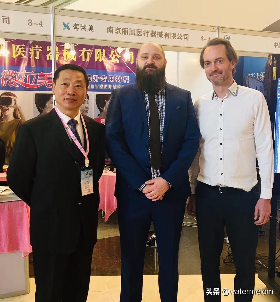 国际美学峰会,国际美学大会