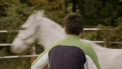 一人一马攀登高峰望故乡完整版,一人一马励志电影