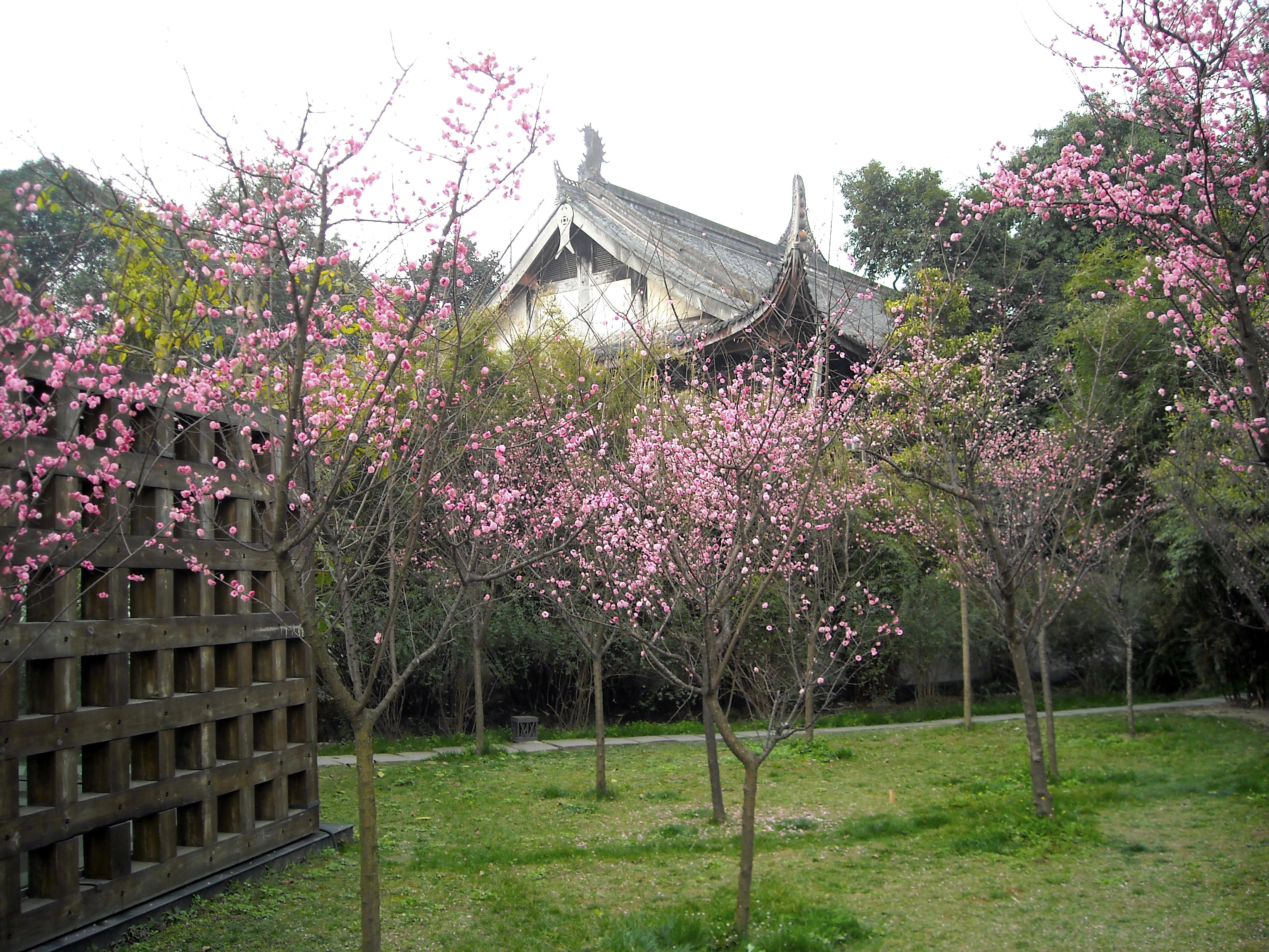 成都杜甫草堂一日游,到成都必须玩的景点是哪几个