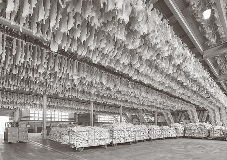 踩中雷区,雪地靴雷区