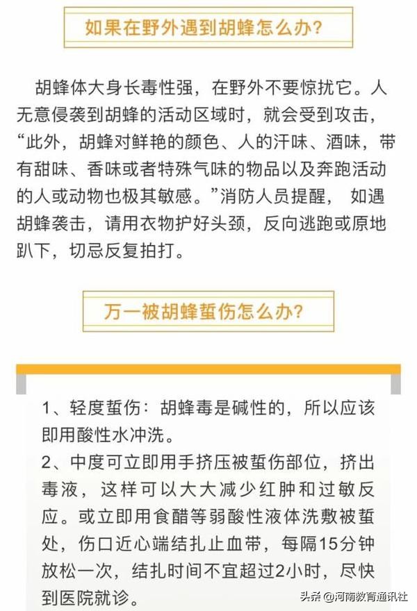 突发！一家五口河南老乐山景区遇险，一人住进ICU！