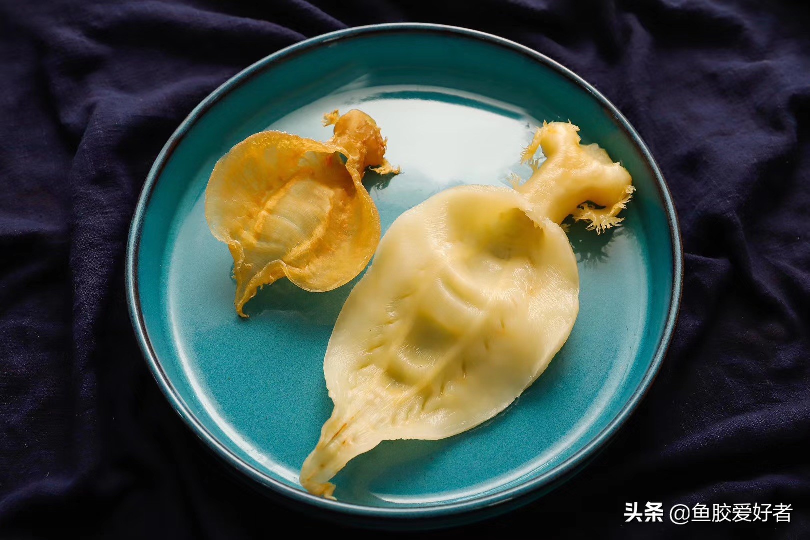 油炸鱼胶正确的泡发方法,潮汕人鱼胶正确的泡发方法