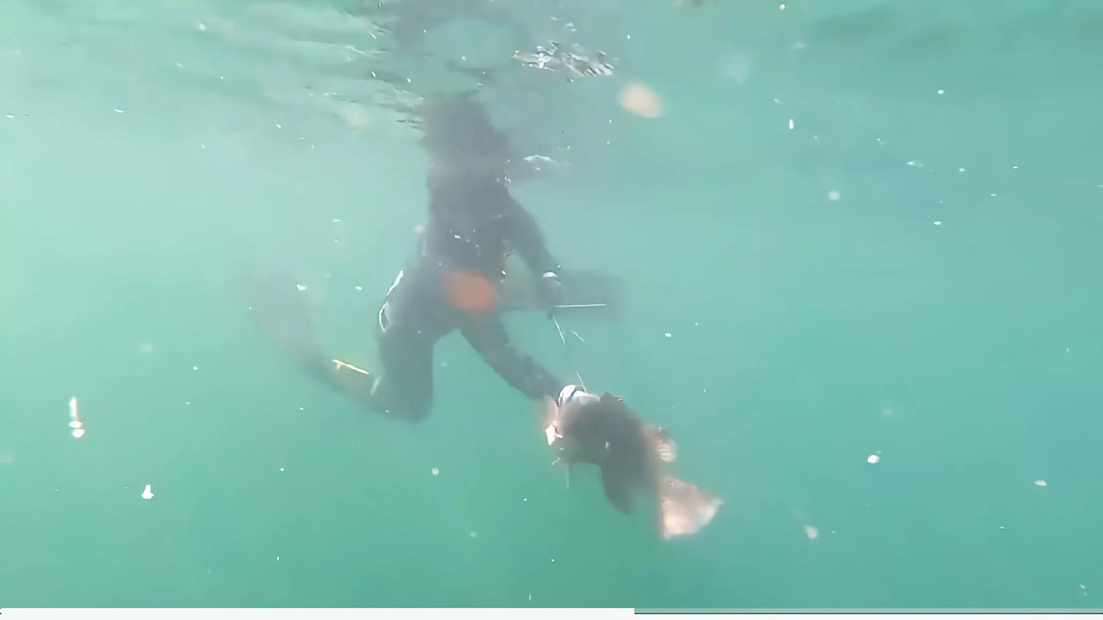 钓不到鱼正确的理解方式,钓不到鱼该怎么说