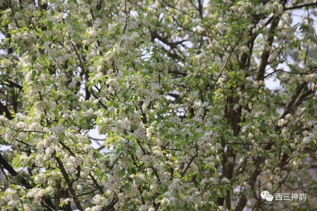 什么是弥勒教,什么是弥勒尊佛