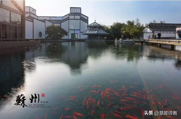 六上语文第五单元知识点,学霸笔记6年级全套