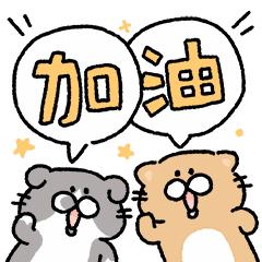 广东肇庆中医院,广东省肇庆市中医医院