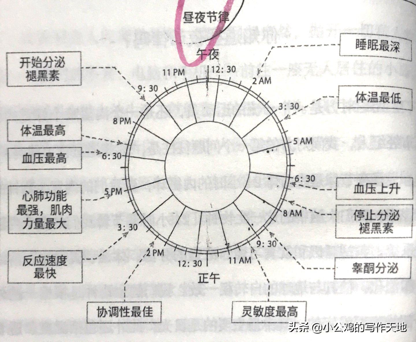 睡眠必须知道的知识,关于睡眠的知识记录下来