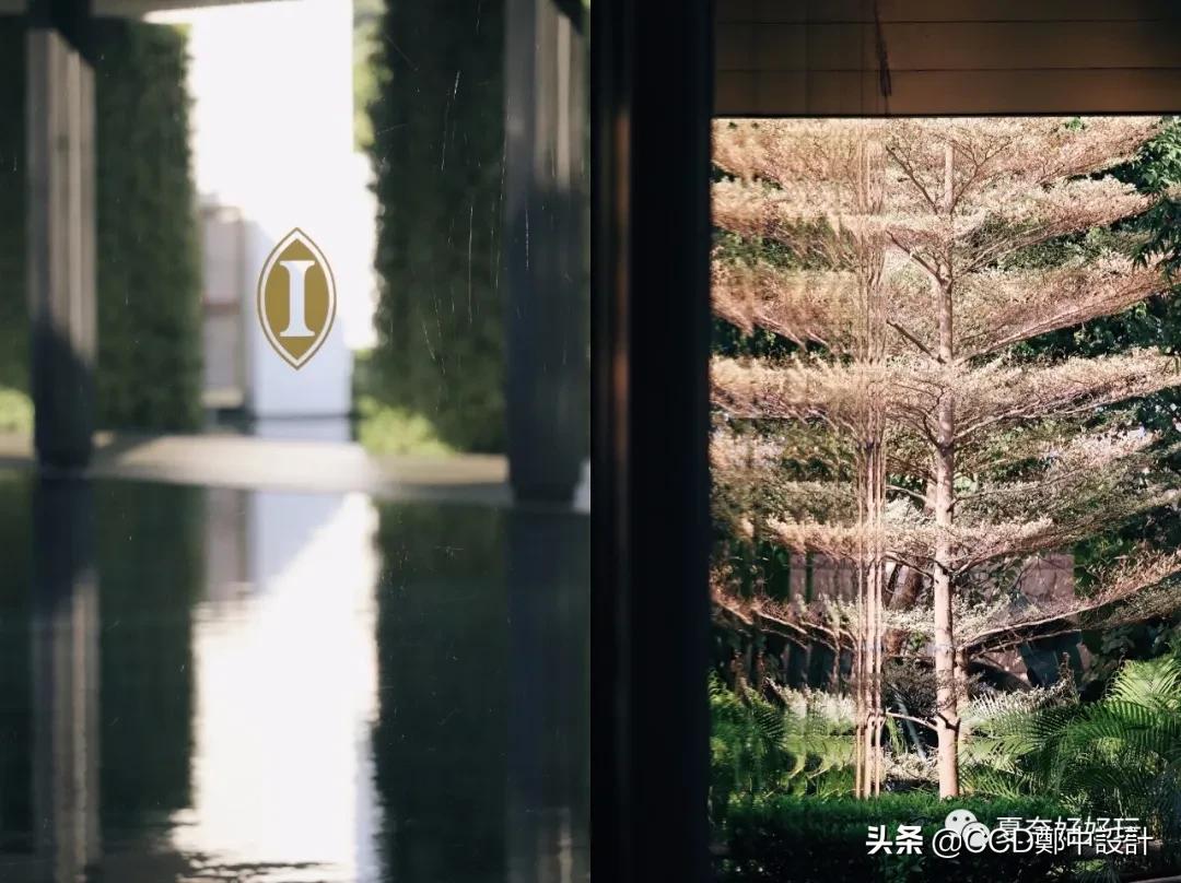 ccd设计的成都哪些酒店,香港ccd设计的酒店