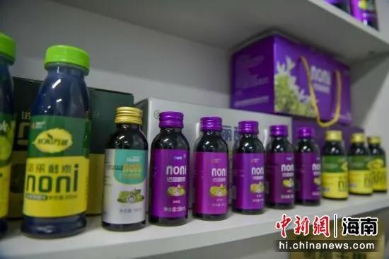 万宁诺丽果产品,万宁诺丽产业合作开发