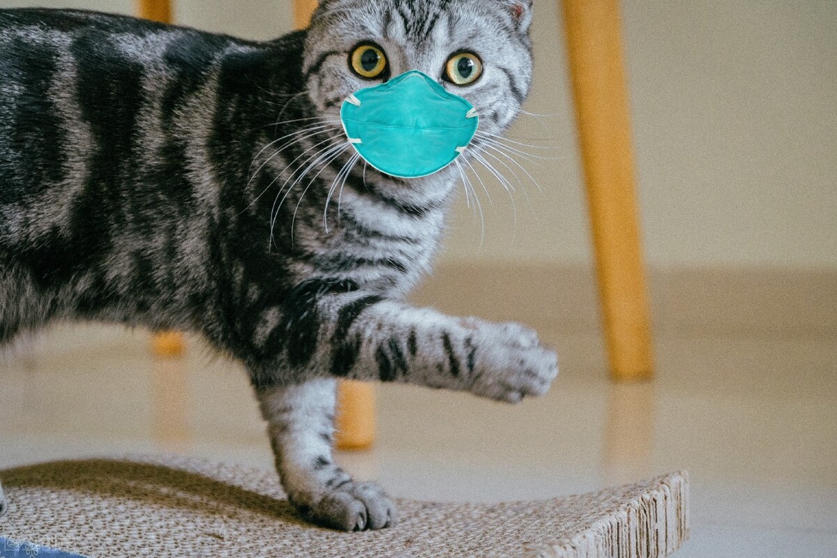 机考的主观题怎么考,主观题选择笔答技巧