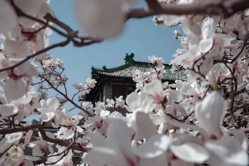 国家卫健委41家直属医院,国家卫健委直属或直管的44家医院