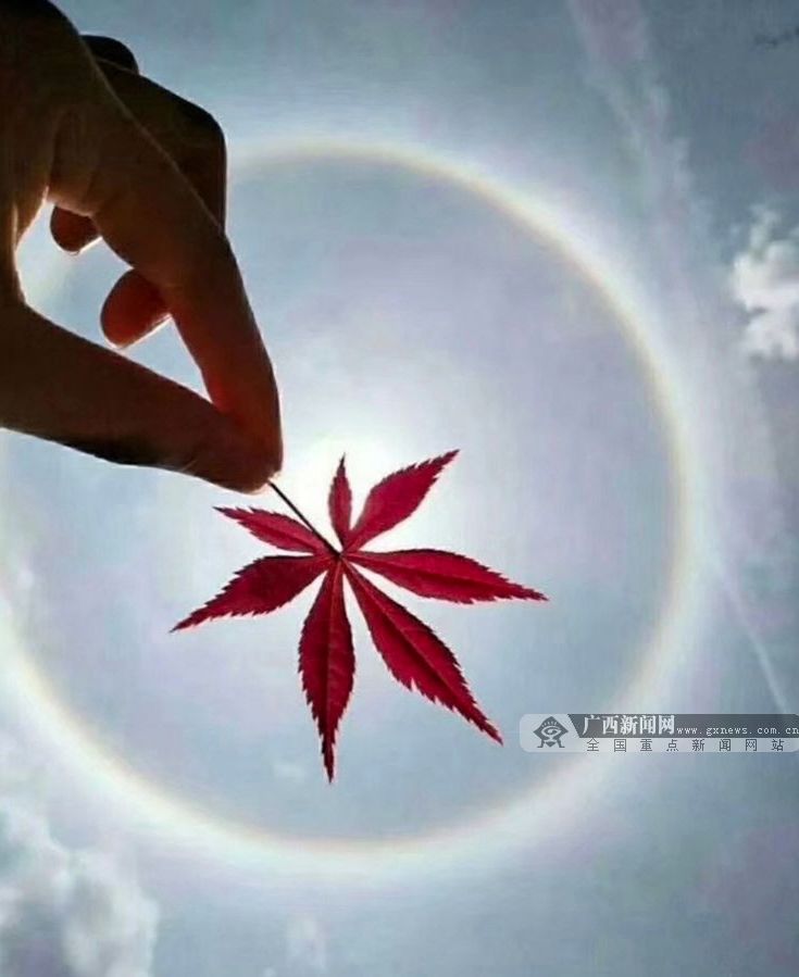 当心这几类传染病近期高发,广西传染病暴发流行