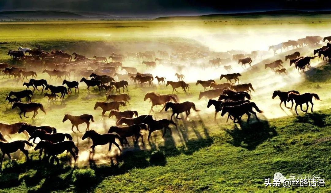 春暖花开等你来赏花,春暖花开等你来赏花原唱视频