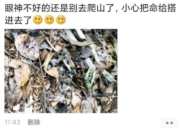 遛狗搞笑图片把主人鞋都追掉,遛狗被猫砸中