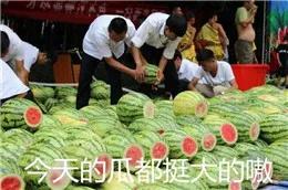 不管多高冷闷骚的西安年轻人，都抵挡不住这波“吃瓜的诱惑”