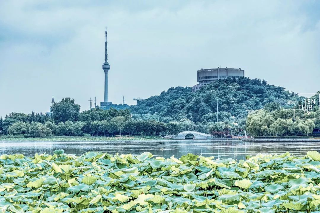 武汉公园免费景点推荐,武汉免费看花景点