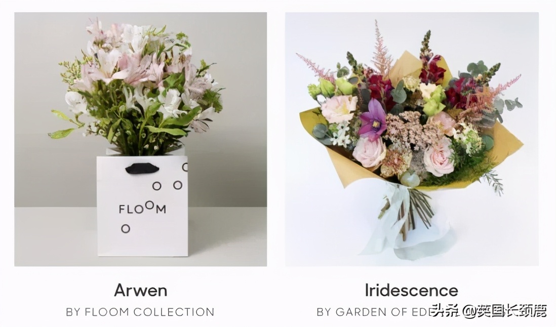 情人节来了怎么少的了fafa?英国鲜花速递服务大盘点:浪漫满分