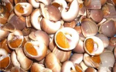 开海什么海鲜最好,开海季肥美海鲜