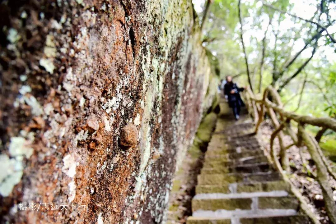 悠然三明：梅列瑞云山为佛，葡萄美酒配熏鸭