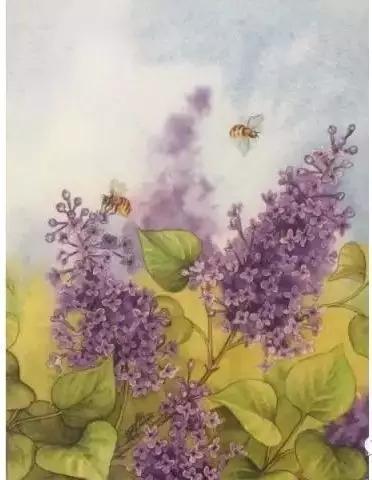 培养3至4岁幼儿逻辑思维的绘本,读绘本引导孩子的思维