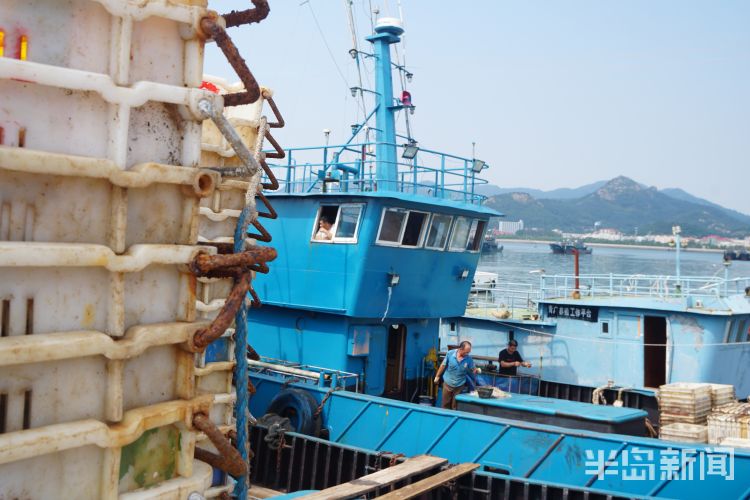 讨海赚钱吗,讨海一天能赚多少