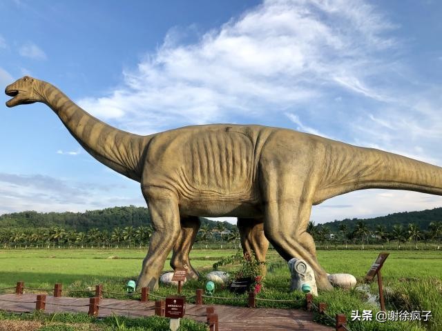 三亚海棠湾亚特兰蒂斯酒店多少钱,三亚海棠湾三大顶级酒店