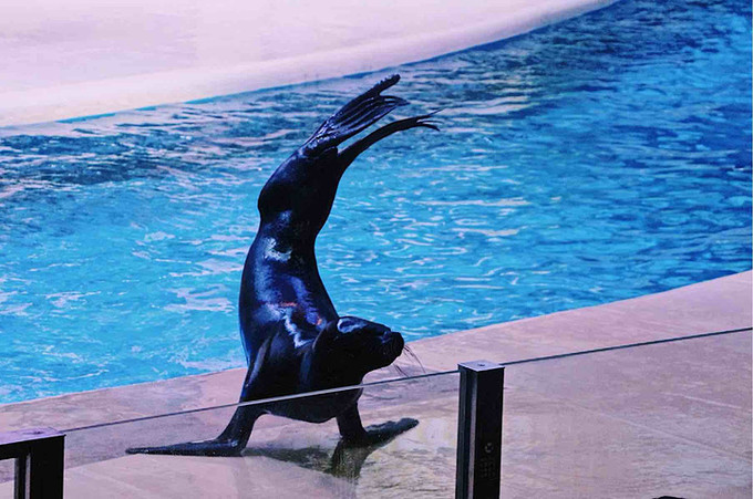 珠海高铁站到长隆海洋王国,珠海长隆海洋王国海底世界