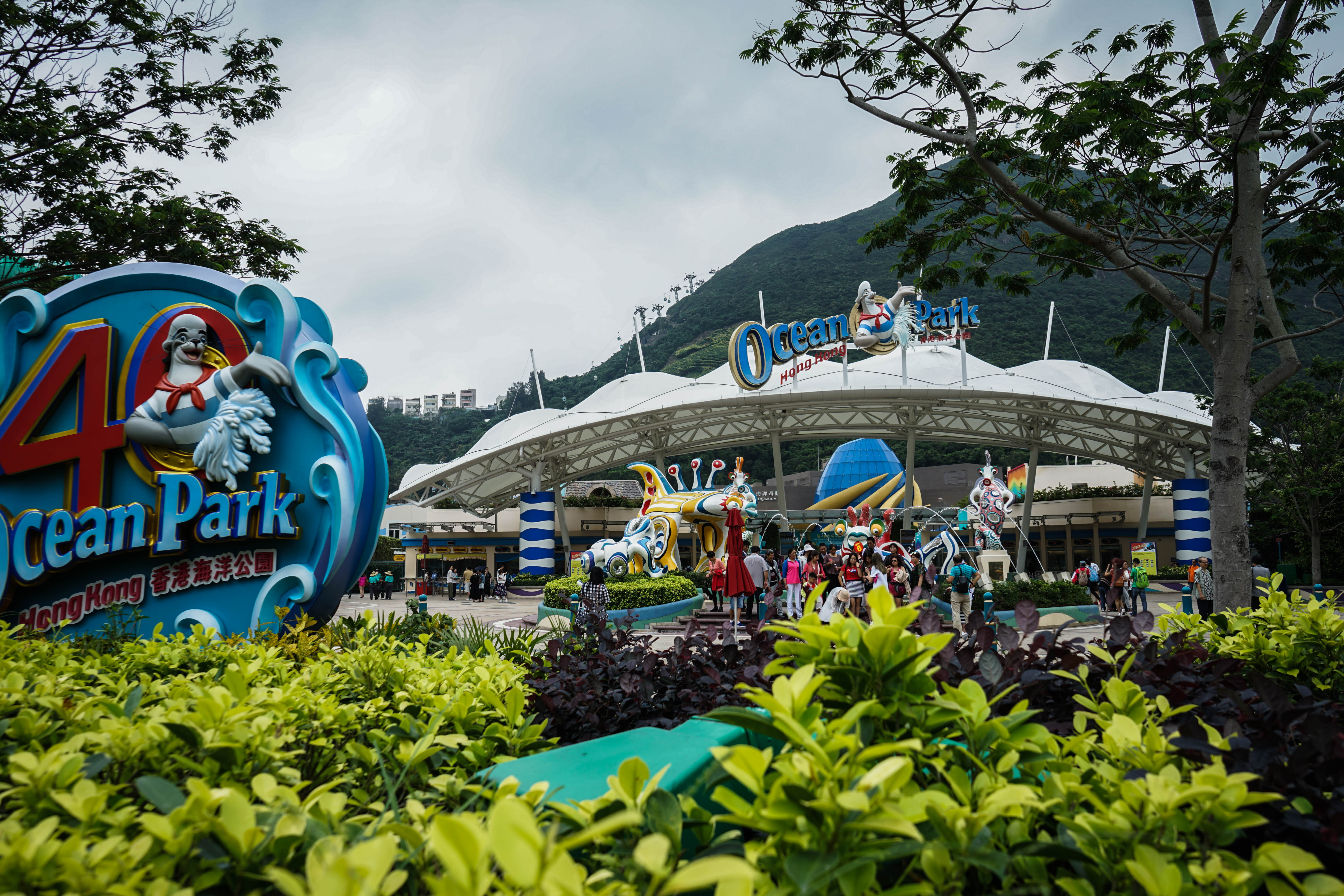 塞班蜜月旅游照,塞班岛蜜月自由行攻略