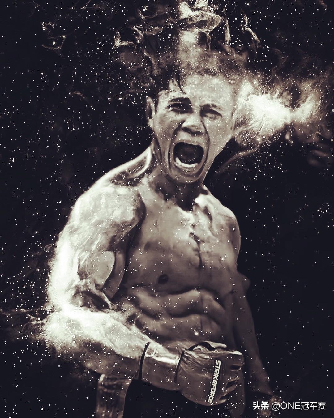 越南搏击第一人,越南格斗大师