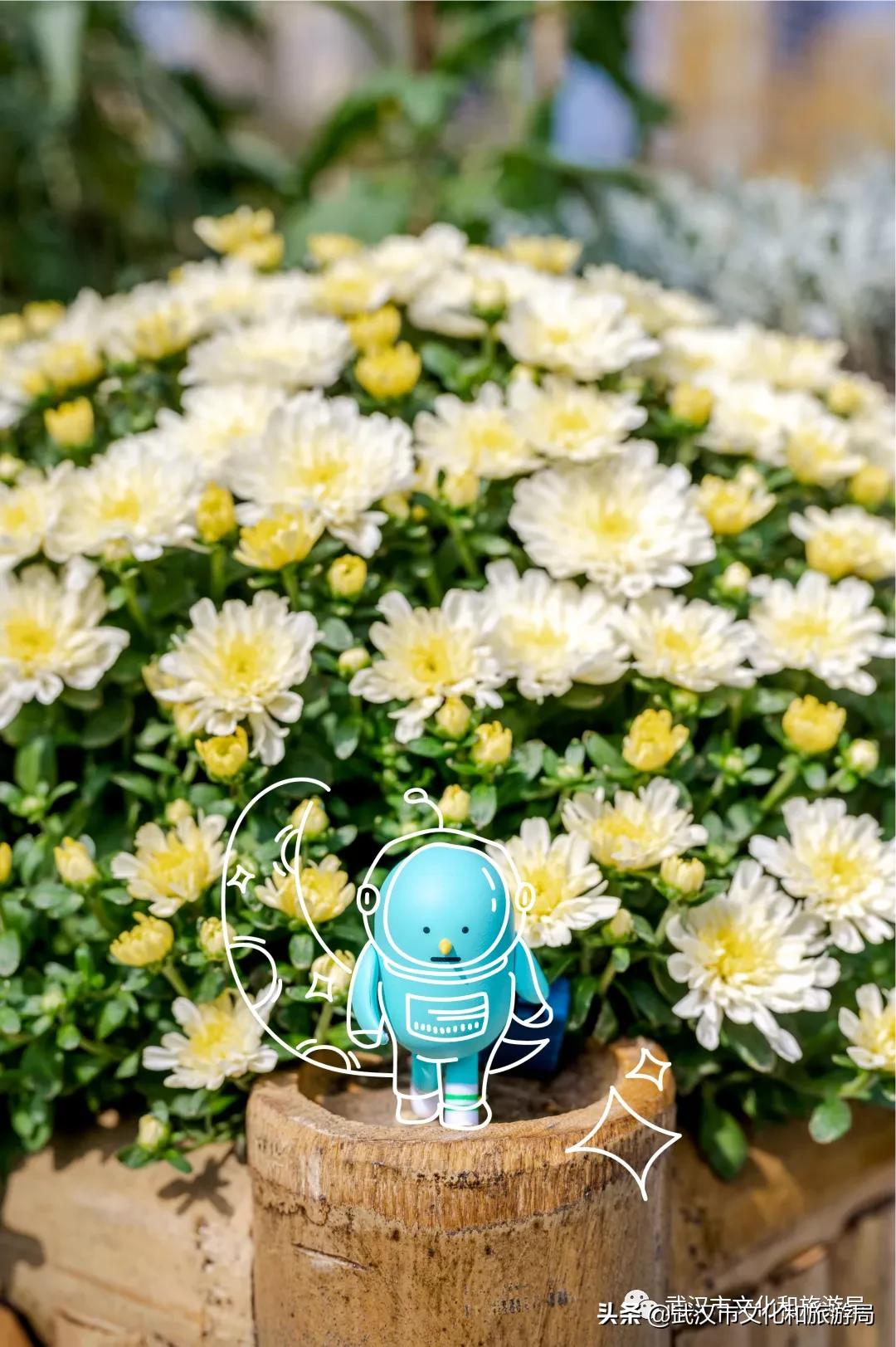 武汉秋天的第一场音乐节,武汉秋天第一场音乐节