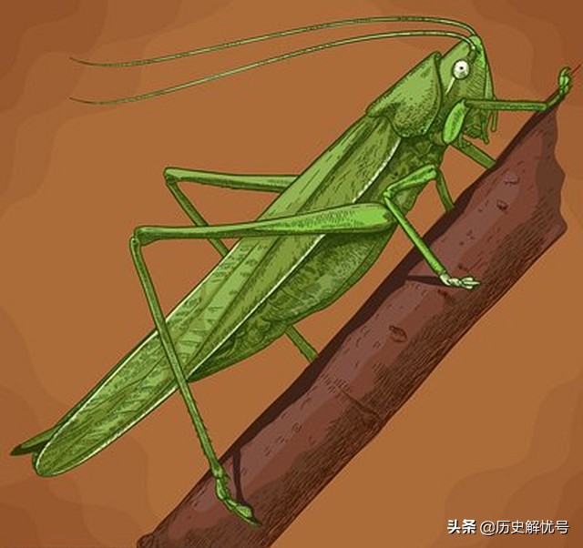 孔子说一年有三季被后人大赞智慧,孔子对学生讲一年只有三季的典故