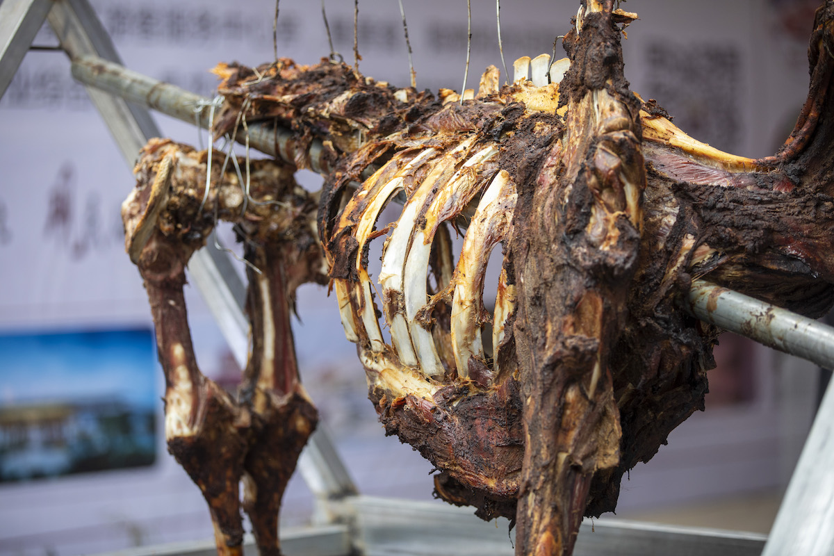 楠嗛┘宸℃父澶滄櫄,楠嗛┘宸℃父