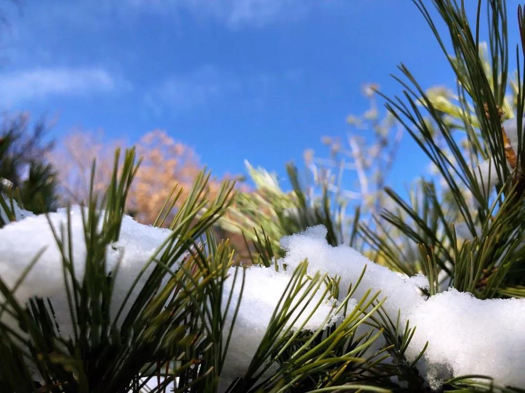 你对花岗岩了解多少,西岳华山从哪些方面介绍华山