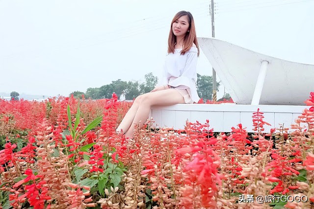 台中南投,台中南投台北攻略