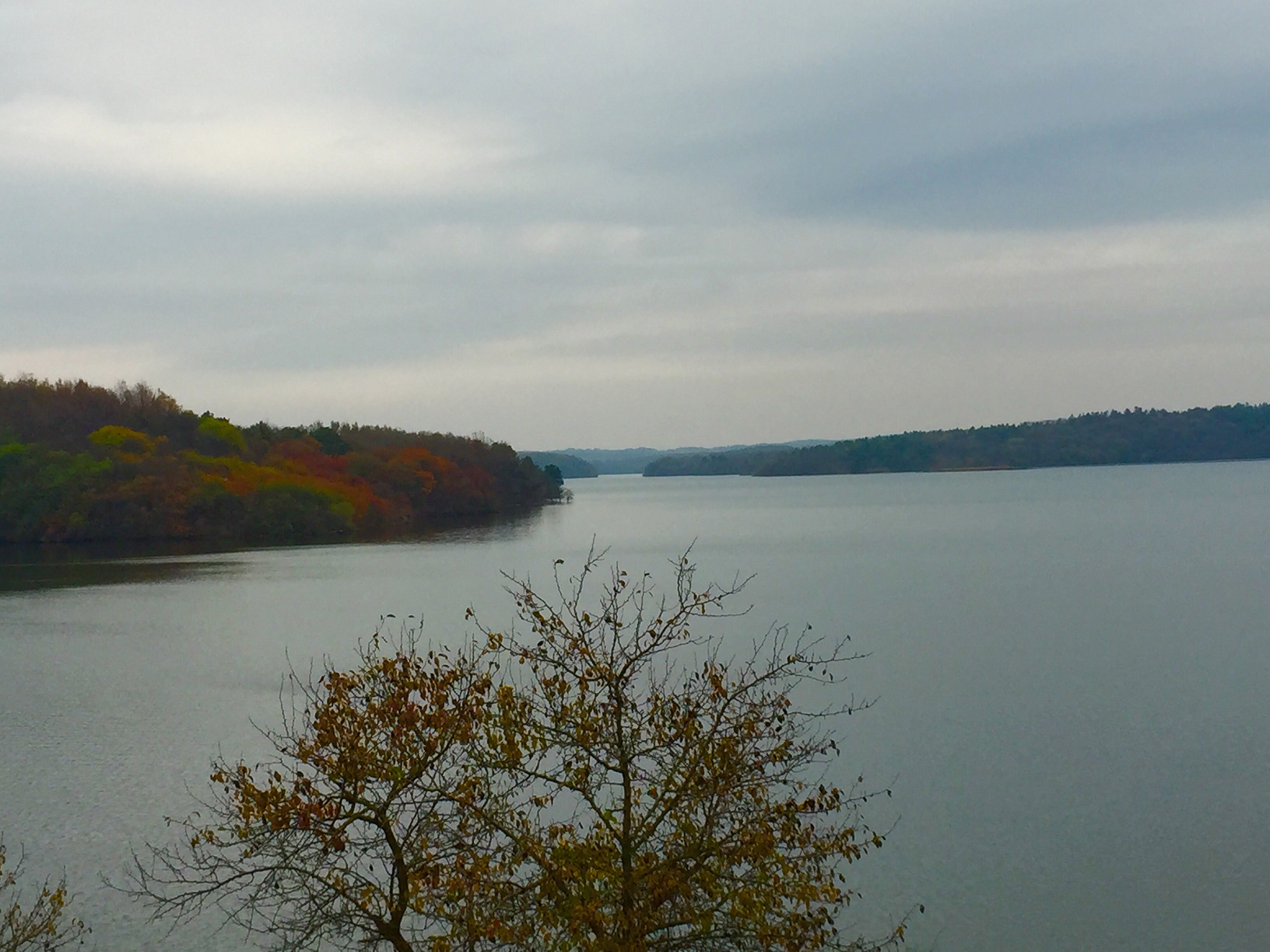 安徽明光市最美夜景,安徽明光县城有哪些