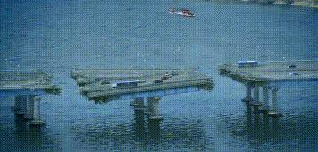 韩国寄生虫电影推荐,21部韩国寄生虫电影