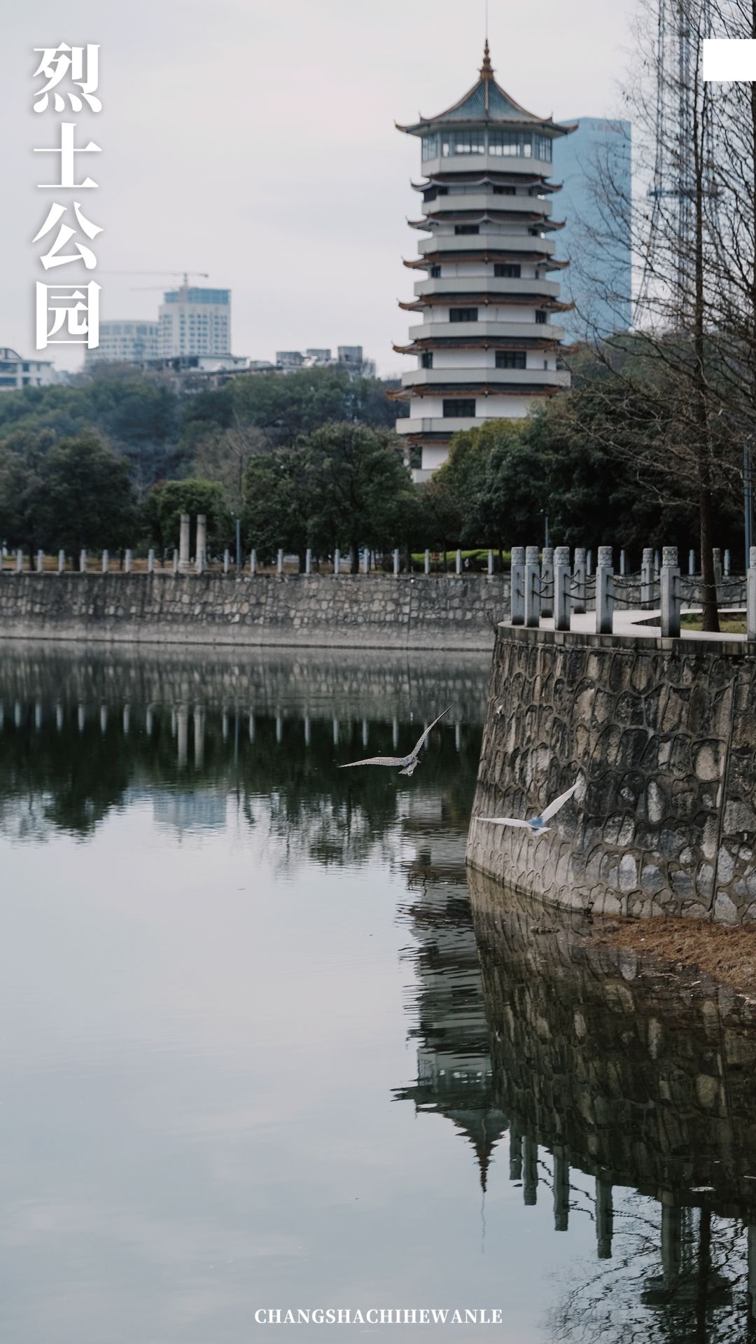 带你在长沙感受一场如梦如幻,带你看看真正的长沙