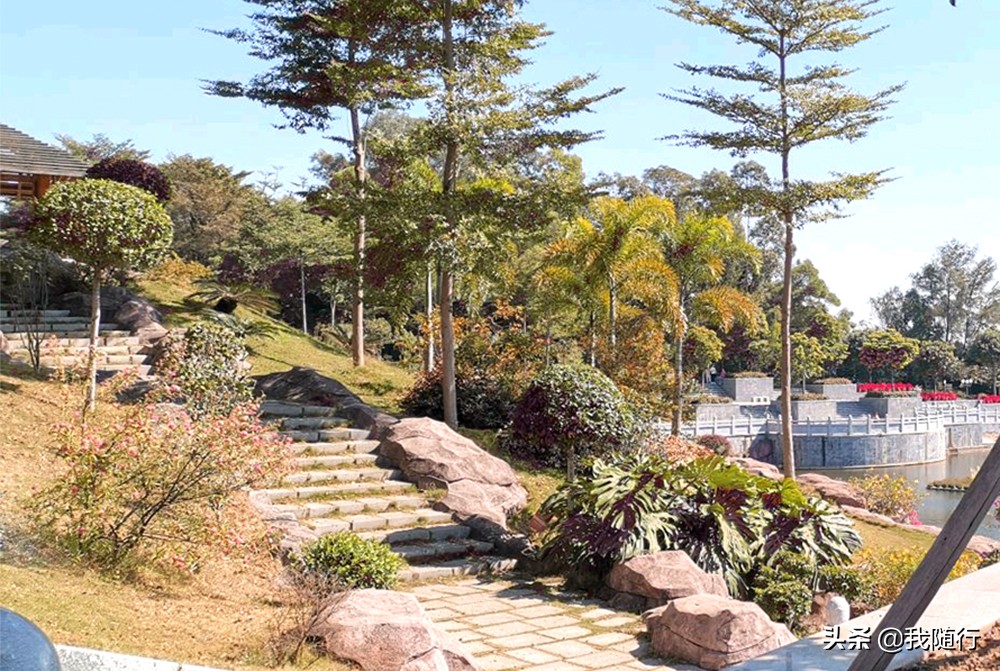 莲花山自驾去哪个门好停车呢,汕尾莲花山自驾两日游攻略