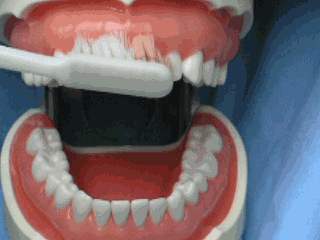 怎么去除口腔异味口臭小妙招,口腔异味口臭怎么清除