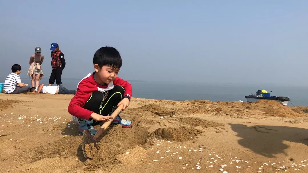 钦州三娘湾寻找白海豚,钦州三娘湾中华白海豚咬不咬人