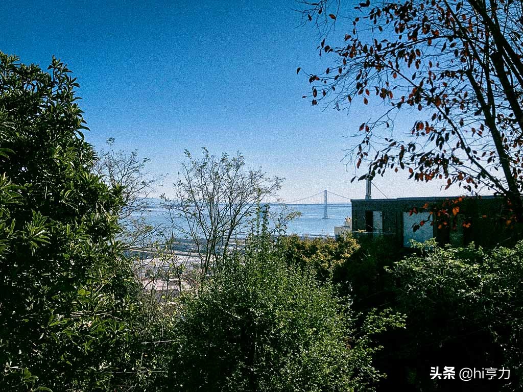 旧金山旅游全攻略,旧金山旅游攻略篇