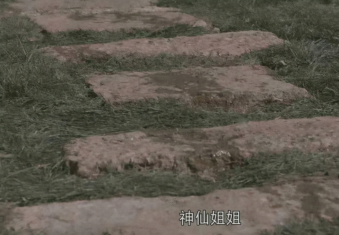 剧情雷人要背锅，沦为资方“打工仔”，编剧们心里也很苦