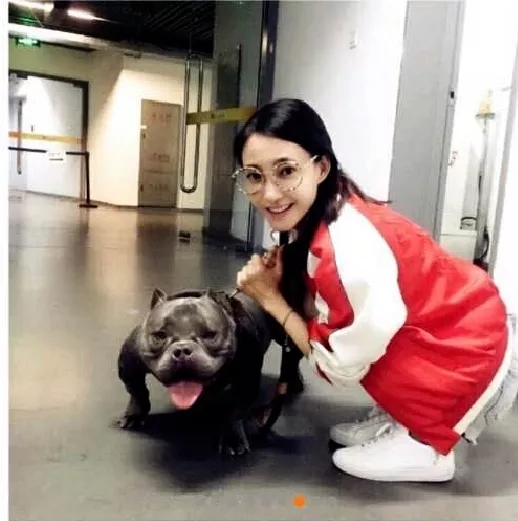 夏季平价小白鞋测评,百搭小白鞋李宁