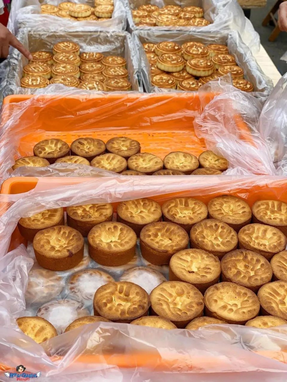 沈阳值得去的10个地方,沈阳最值得去的10个地方