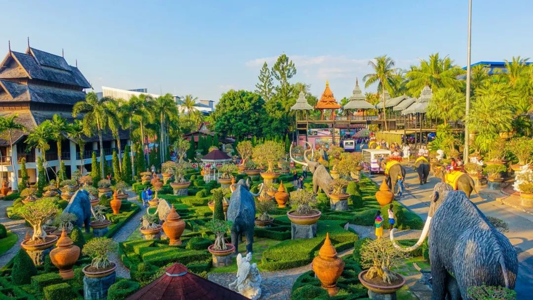 在泰国旅游最好的注意事项,泰国旅游注意事项的视频