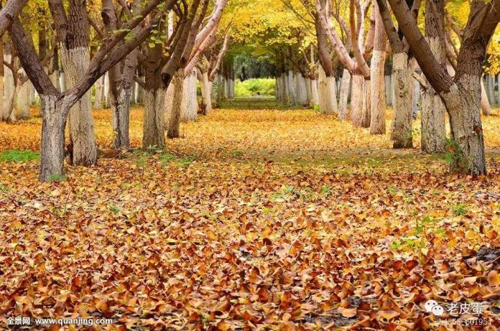 象牙塔外或美的几种可能，谨以此文送给军医大学毕业生李跃华