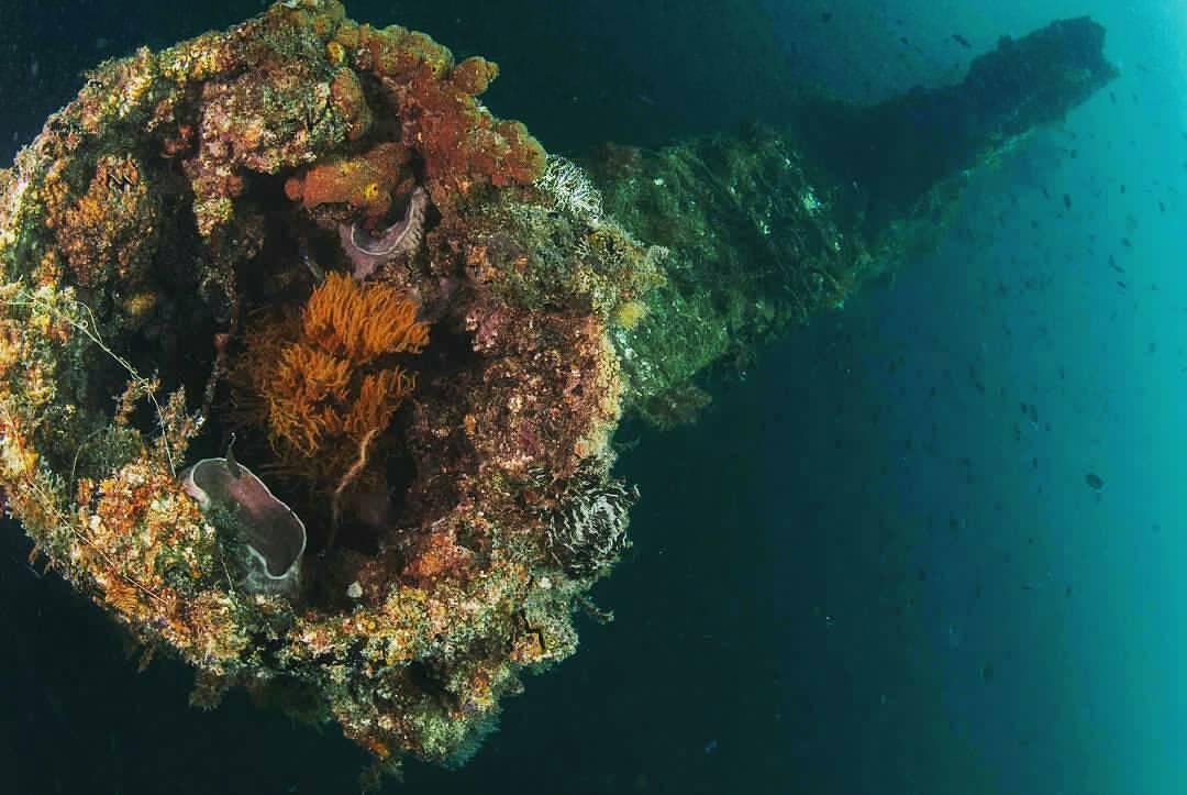 便宜免签的海岛,性价比高的免签海岛