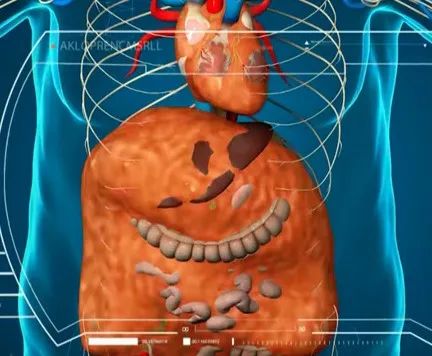 这八种网友疯传的最有效减肥方法,这3种减肥方法效果显著值得一试