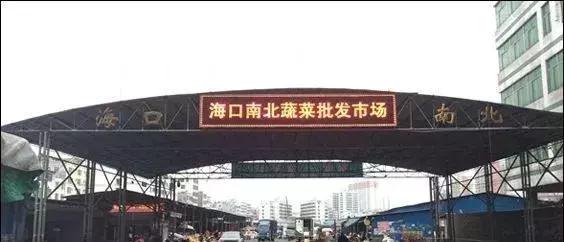 中国蔬菜批发市场大全,邓州菜农蔬菜批发市场在哪里