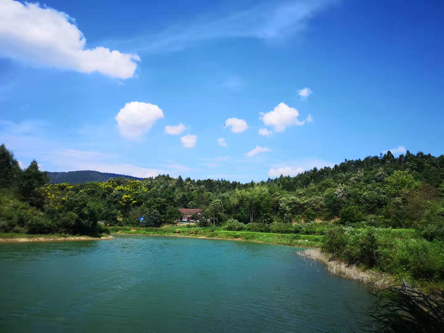 钓鱼背锅侠,钓鱼背锅